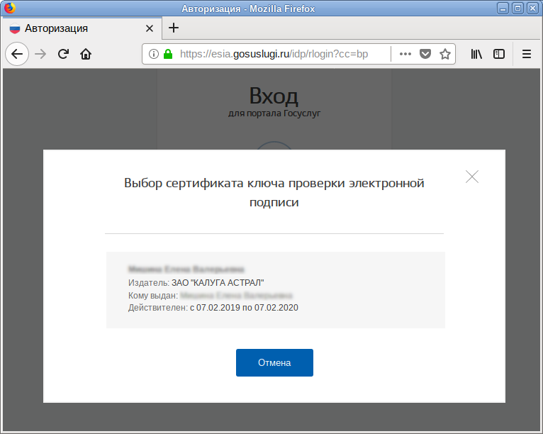 Госуслуги запрашивает пароль. Пин код госуслуги. Сертификат электронной подписи госуслуги. Электронный ключ для госуслуг. Код для госуслуг.