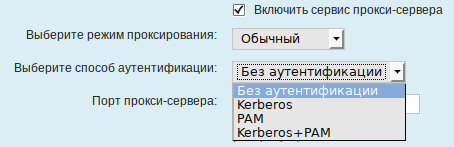 Файл:Alterator-squid-auth.png