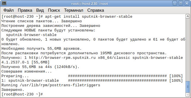 Файл:Sputnik install3.png