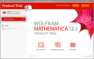 Запущенная программа Mathematica